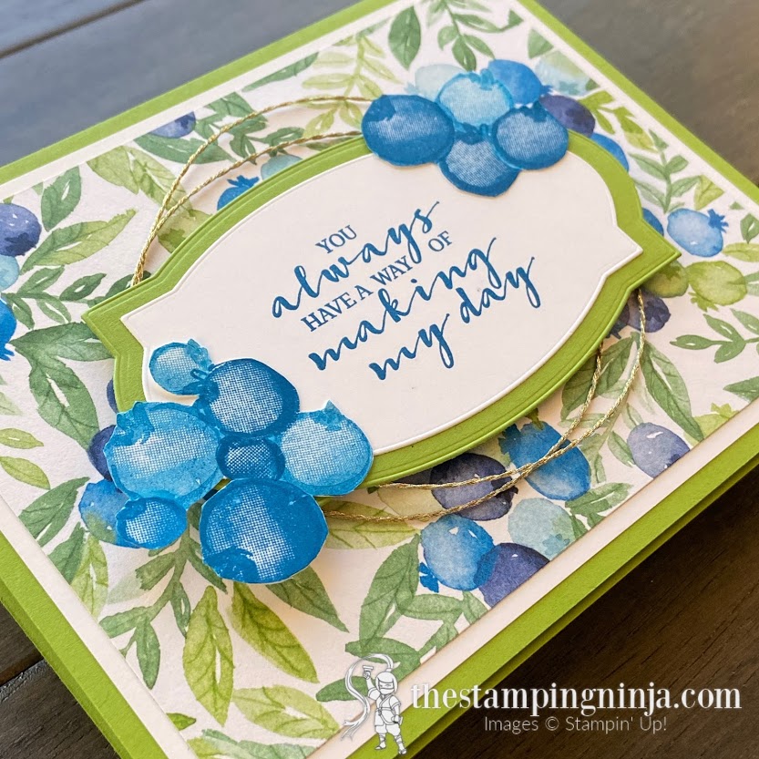 Sale-A-Bration Berry Blessings for the Pals Blog Hop