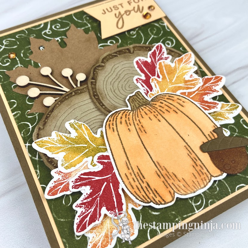 Hello Harvest meets Ringed with Nature for the Pals Blog Hop