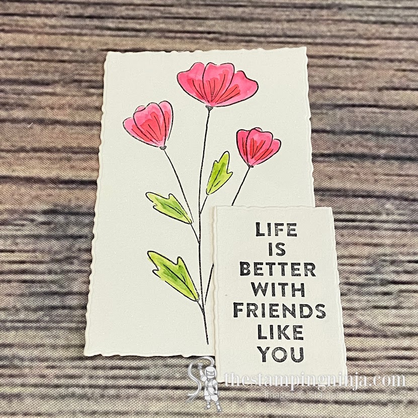 Life is Better with Flowers of Friendship