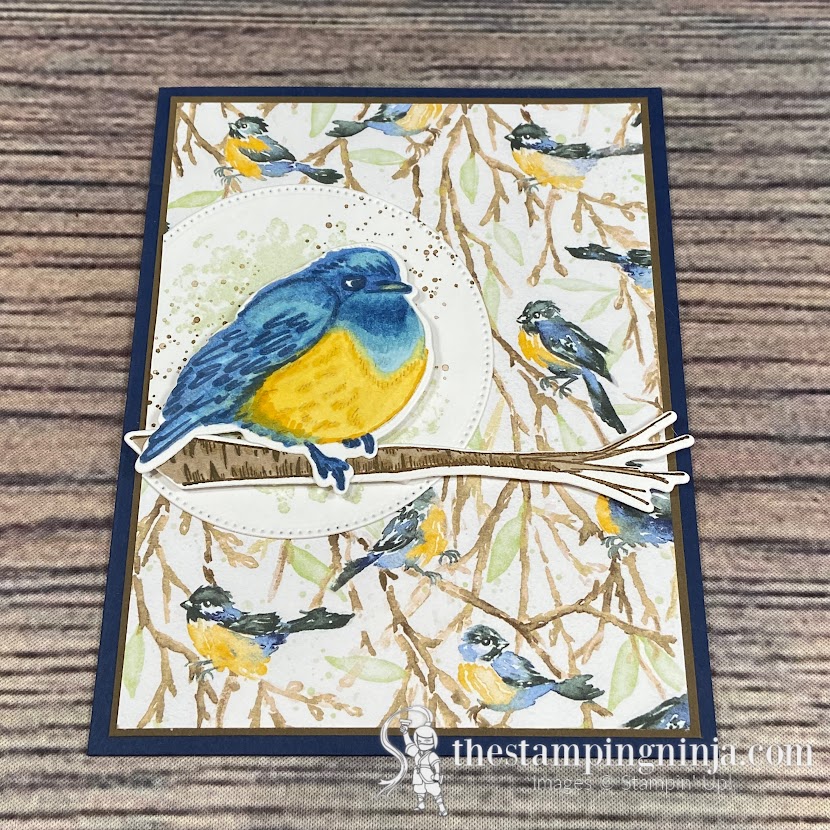 Perched in a Tree for the Stampers Showcase Blog Hop
