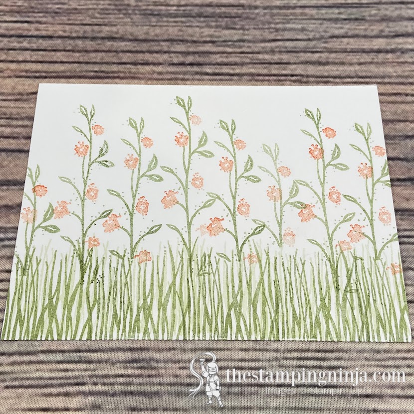 Focusing on the sentiment with Wildflower Path for the Pals Blog Hop